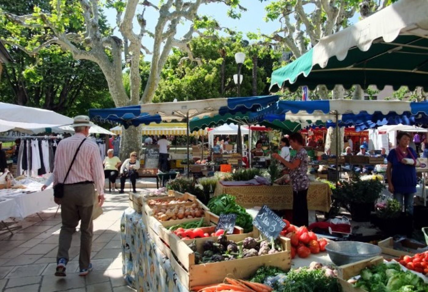 Cassis en Provence: les saveurs et senteurs de son marché
