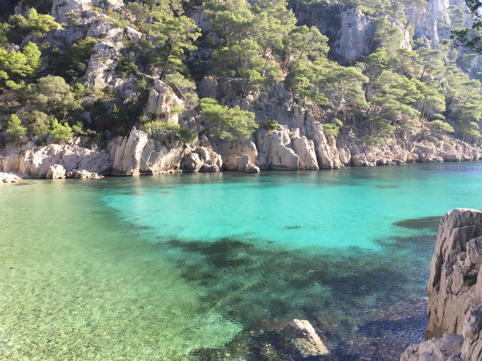 Découvrir les calanques de Cassis à pieds dans les sentiers!