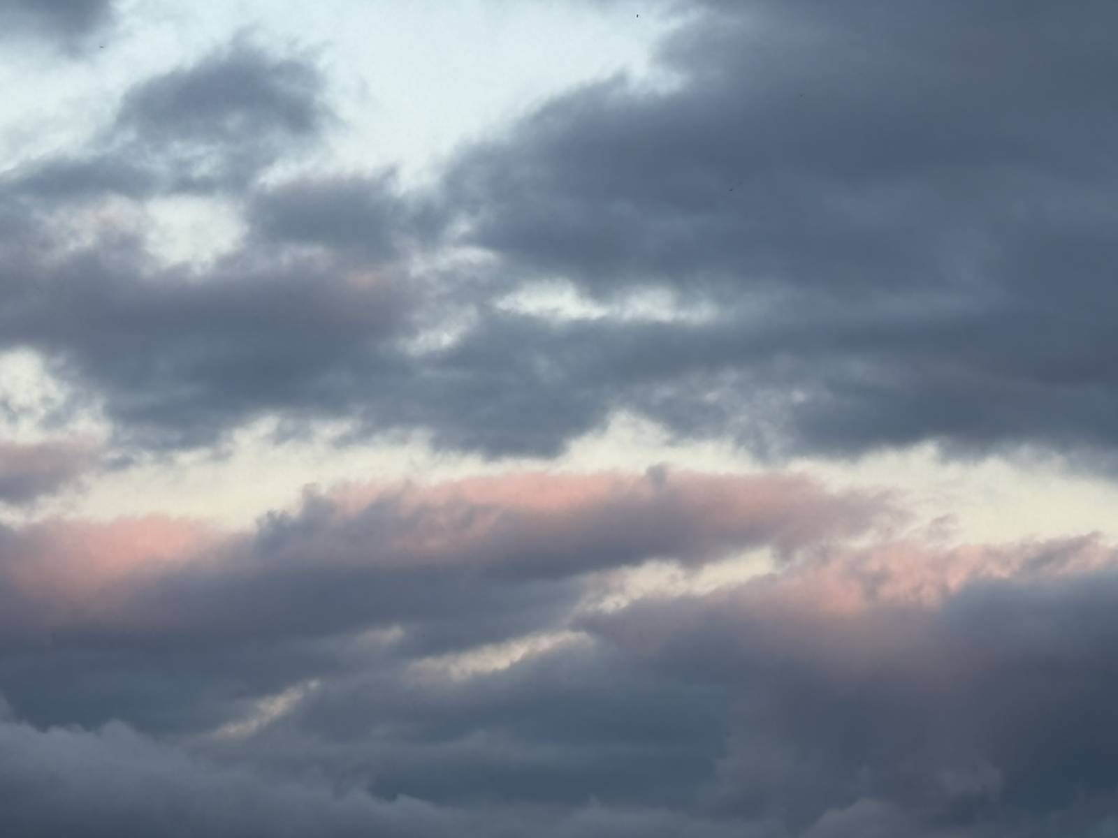 Offre de fin d’année – Douce attention Villa VOS