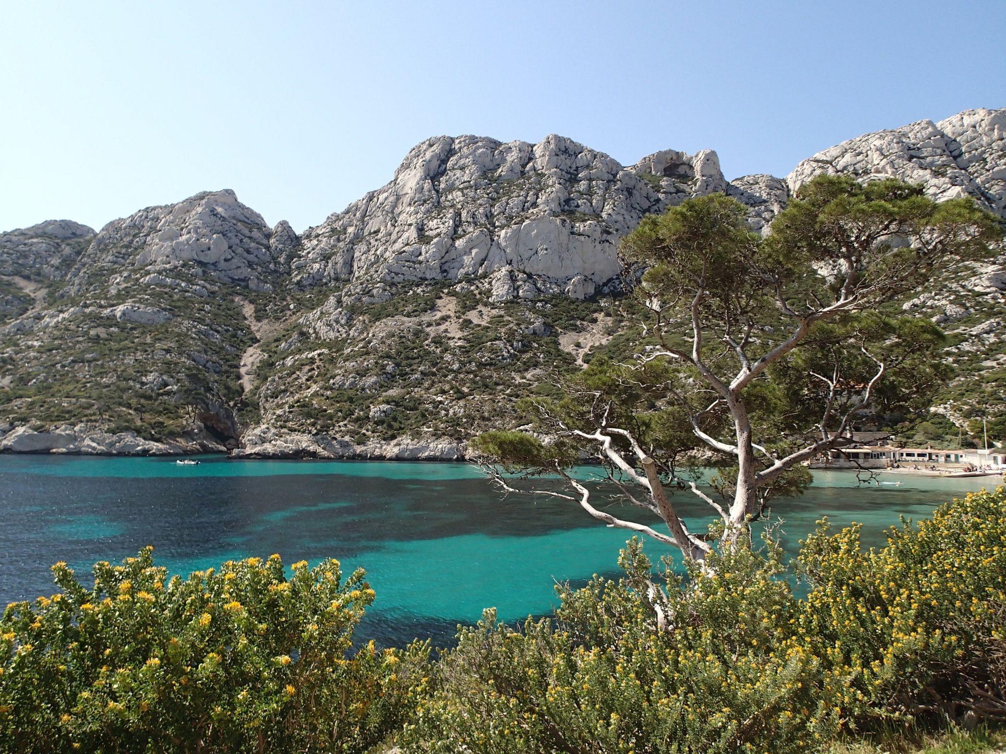 Découvrir les calanques de Cassis pendant vos vacances à Marseille ou Cassis