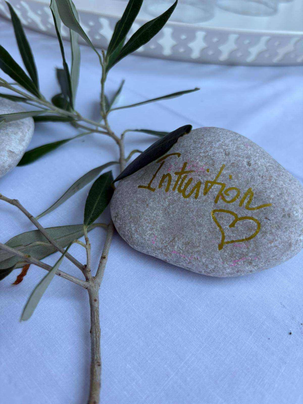 Journées sur l'Empowerment Féminin organisée par Les Diners OSE dans notre villa avec piscine à Cassis