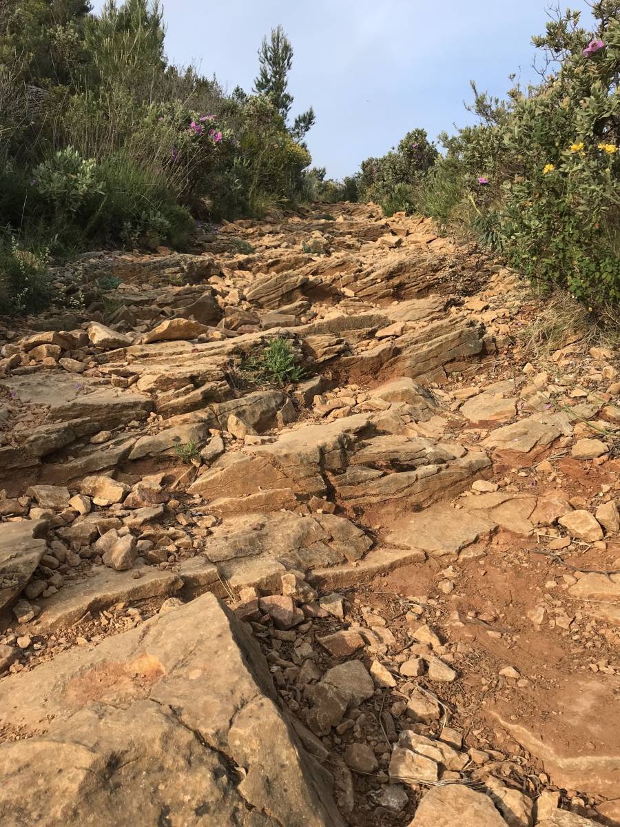 Découvrir les calanques de Cassis à pieds dans les sentiers!