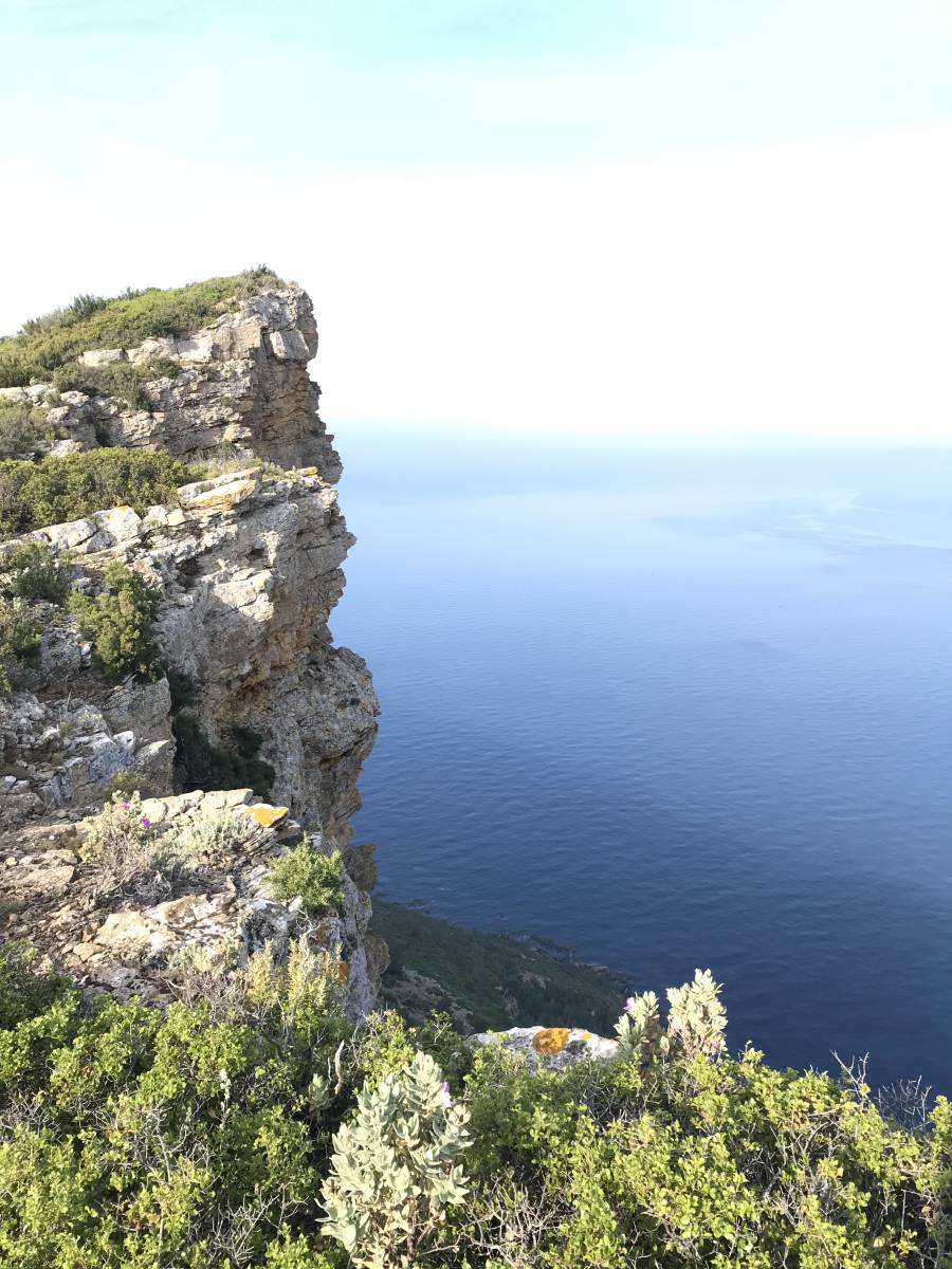 Découvrir les calanques de Cassis à pieds dans les sentiers!