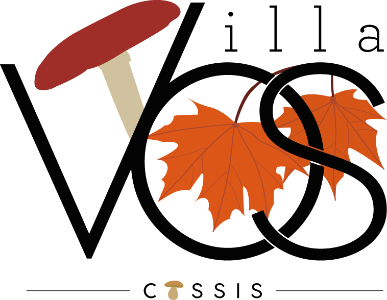 Jouez les prolongations automnales lors d'un séjour Bien-être