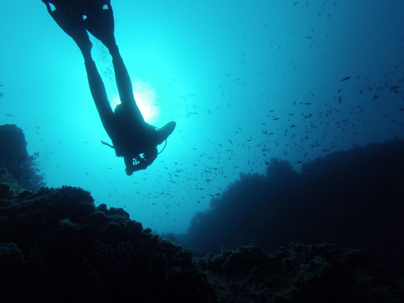 Plongée sous-marine