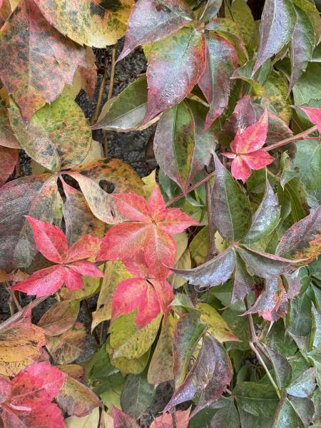 Jouez les prolongations automnales lors d'un séjour Bien-être