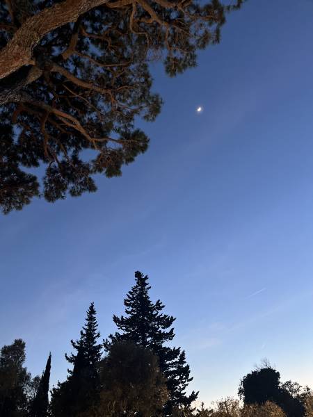 Une séance de yoga face aux collines de Cassis, là où le calme devient un luxe.