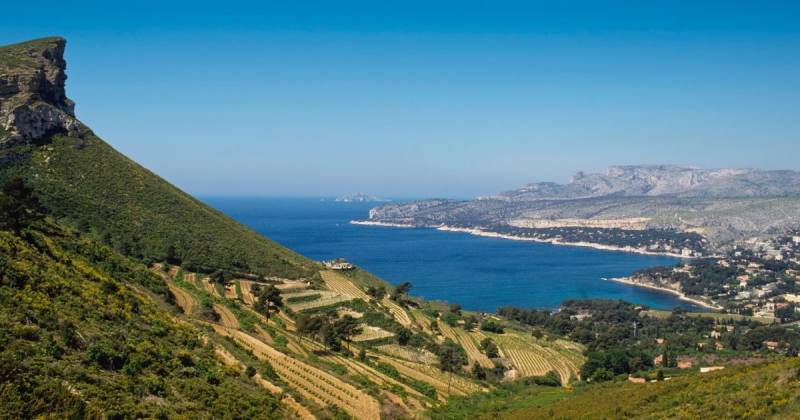 Découvrir les domaines viticoles de Cassis lors d’un séjour en villa haut de gamme Cassis Villa VOS