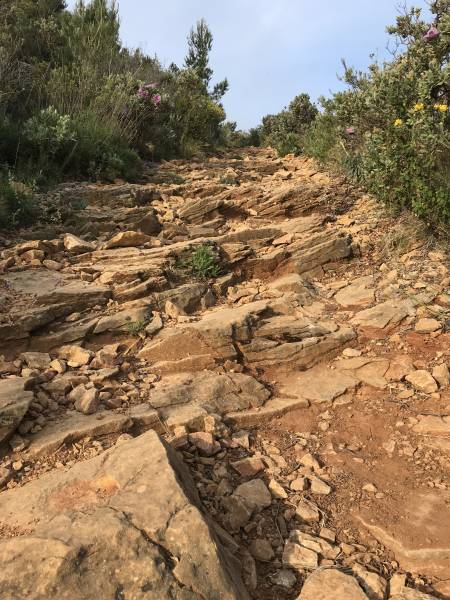 Découvrir les calanques de Cassis à pieds dans les sentiers!