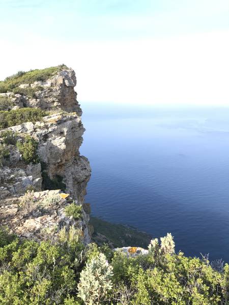 Découvrir les calanques de Cassis à pieds dans les sentiers!