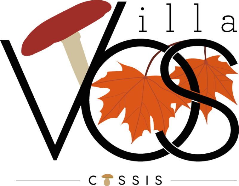 Jouez les prolongations automnales lors d'un séjour Bien-être