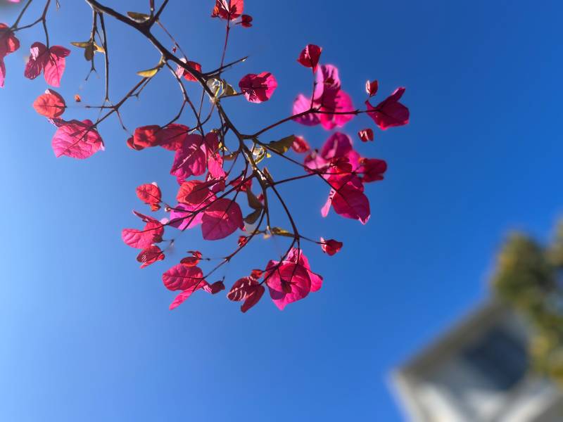Entre mer et collines, le yoga devient une expérience à part entière.