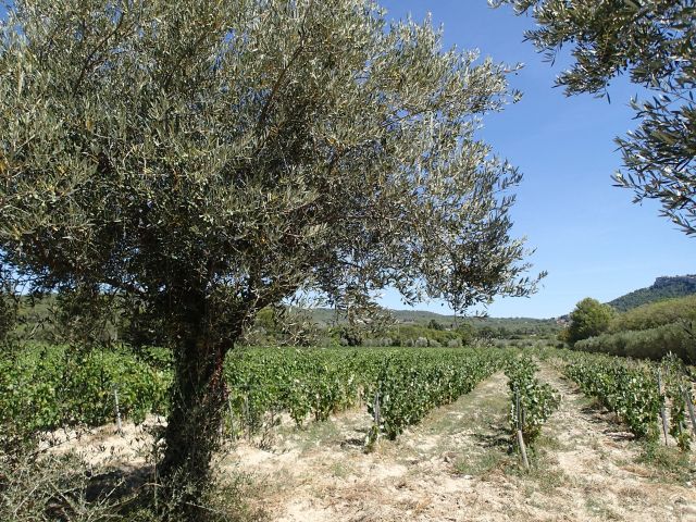 Notre zone d'activité pour ce service Louer une villa pour un tournage de publicité